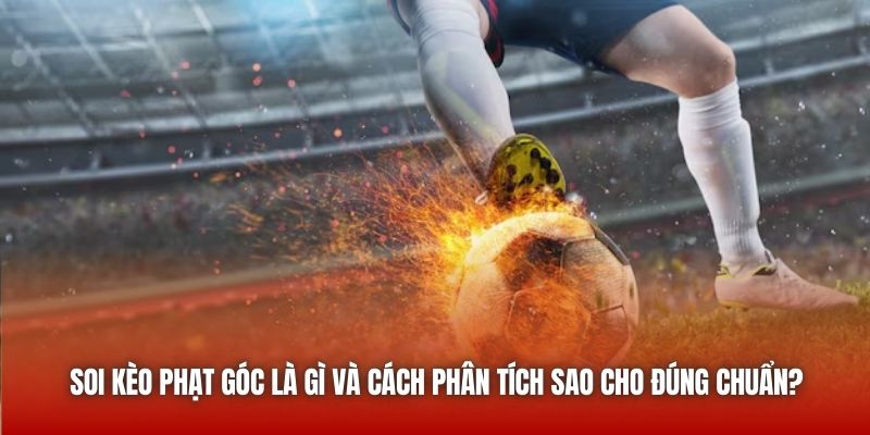 Soi kèo phạt góc là gì và cách phân tích sao cho đúng chuẩn?