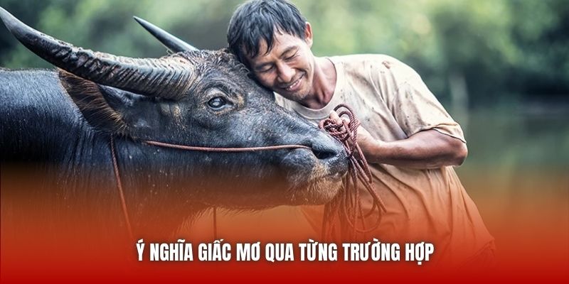 Ý nghĩa giấc mơ qua từng trường hợp