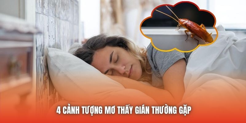 4 cảnh tượng mơ thấy gián thường gặp