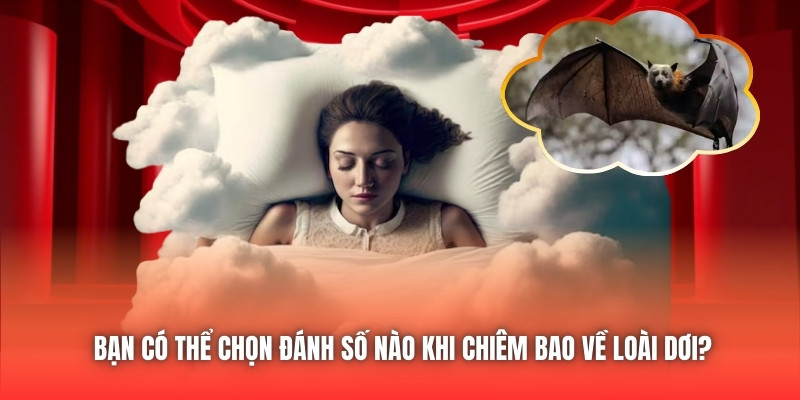 Bạn có thể chọn đánh số nào khi chiêm bao về loài dơi?