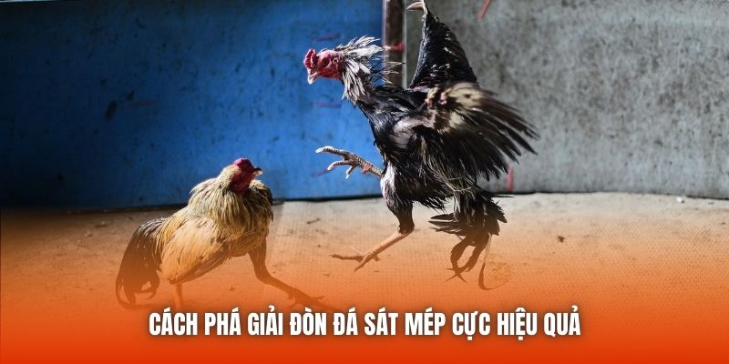 Cách phá giải đòn đá sát mép cực hiệu quả