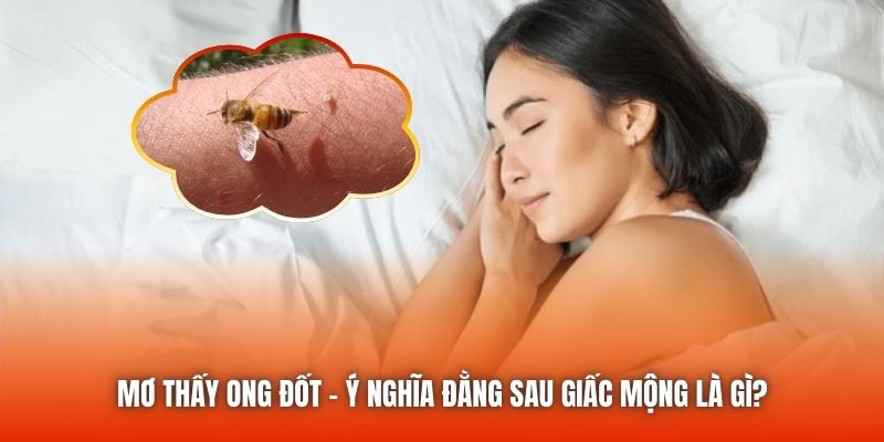 Mơ Thấy Ong Đốt - Ý Nghĩa Đằng Sau Giấc Mộng Là Gì?