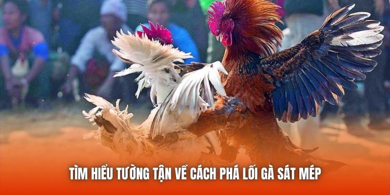 Tìm hiểu tường tận về cách phá lối gà sát mép