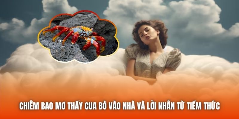Chiêm bao mơ thấy cua bò vào nhà và lời nhắn từ tiềm thức