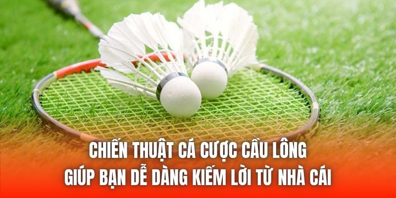 Chiến thuật cá cược cầu lông giúp bạn dễ dàng kiếm lời từ nhà cái